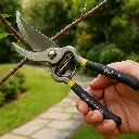 e2cd7ce3-676e-45c6-9365-c354ec28090d (1).webp