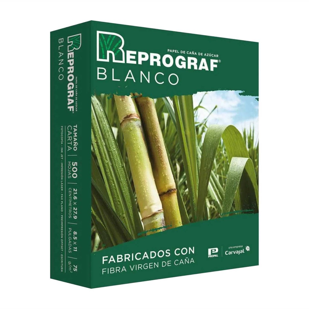 PAPEL TAMAÑO OFICIO 75 GR PACA X 10 RESMA